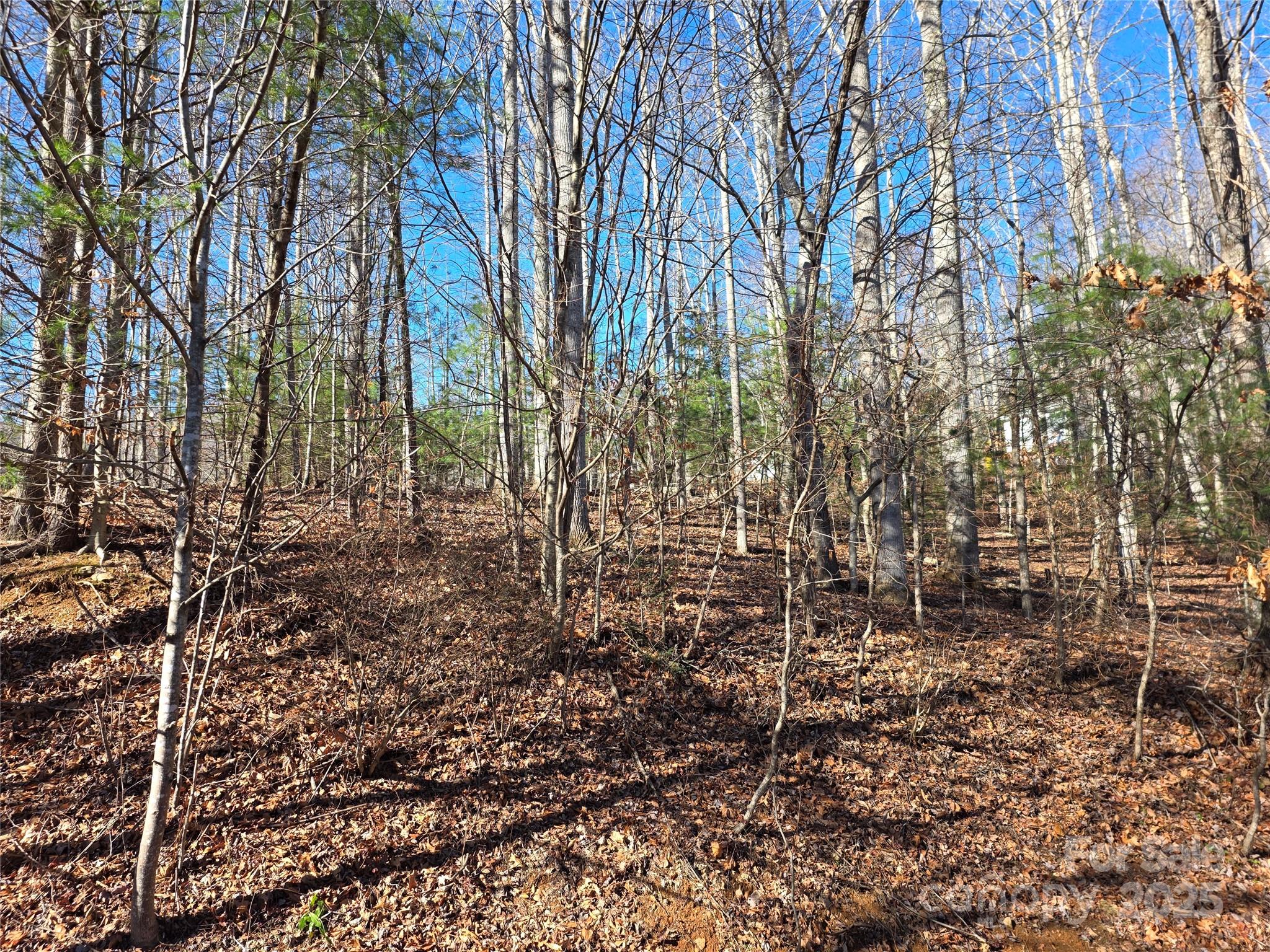 Cherry Hollow - Residential