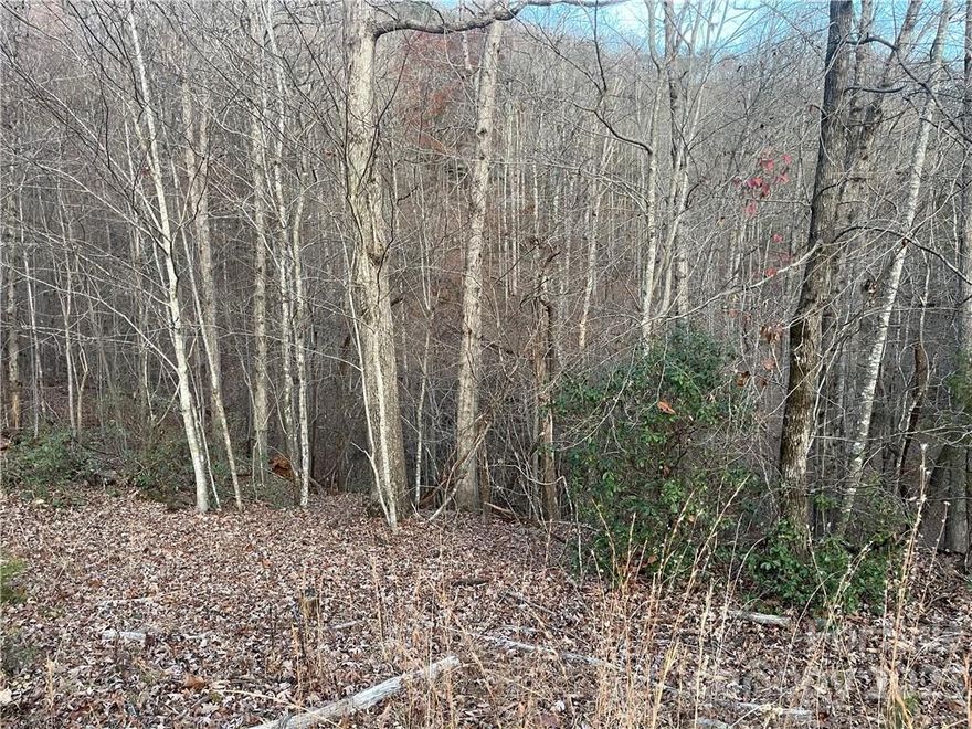 This can be your chance to own land in the pristine and private gated community of Riverbend at Lake Lure! This property has access to a private lake, river, and beach! Don't miss out on this opportunity!