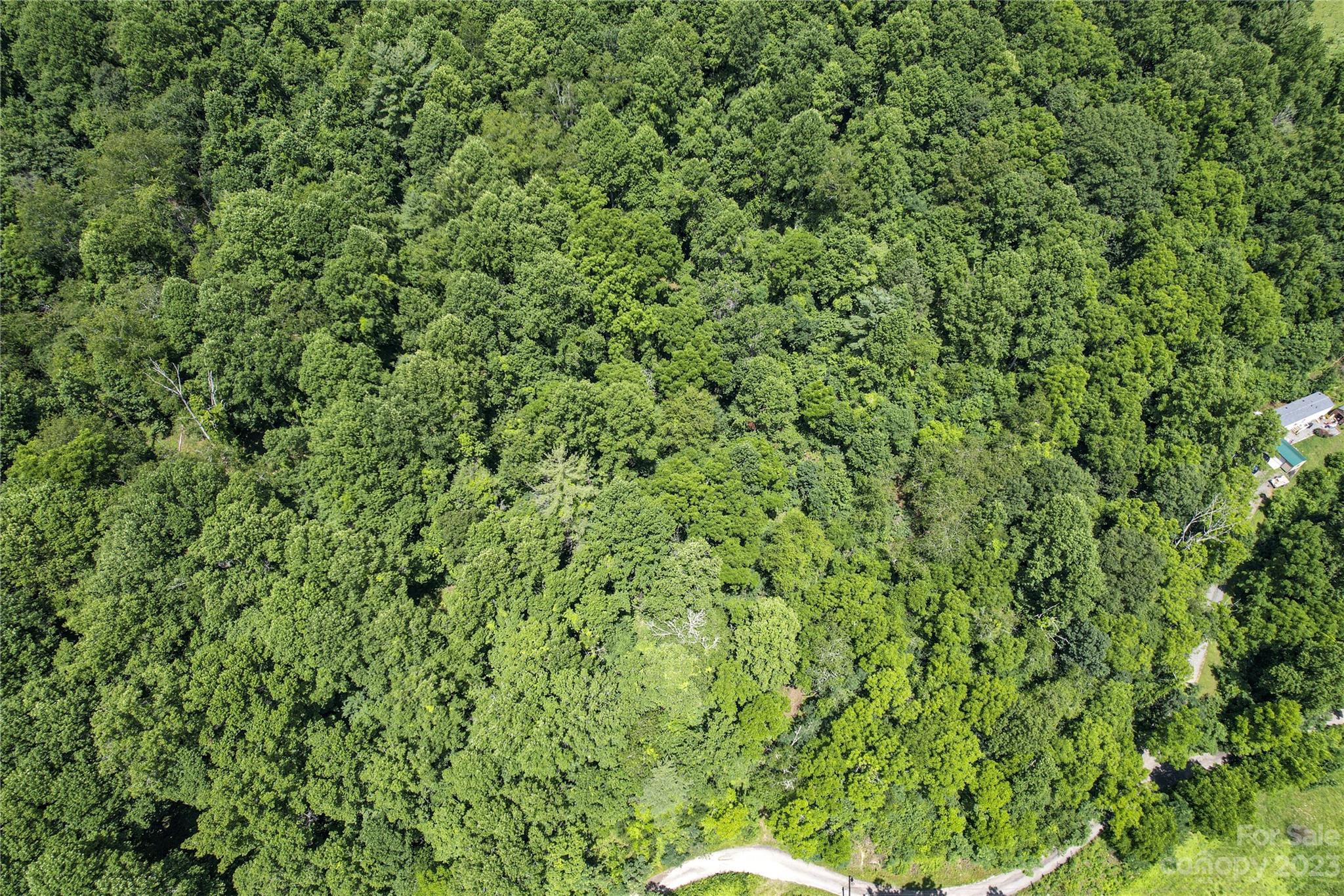 9999 Davis Cove Road