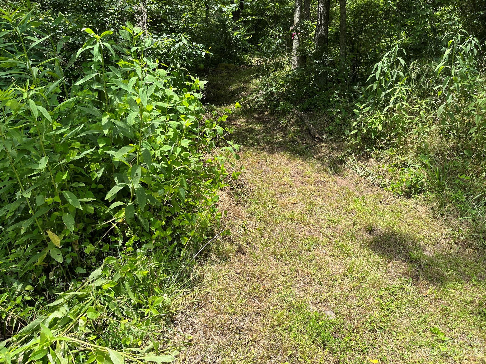9999 Davis Cove Road