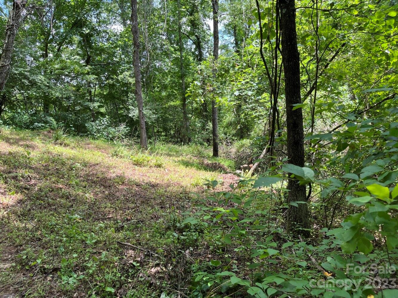 9999 Davis Cove Road