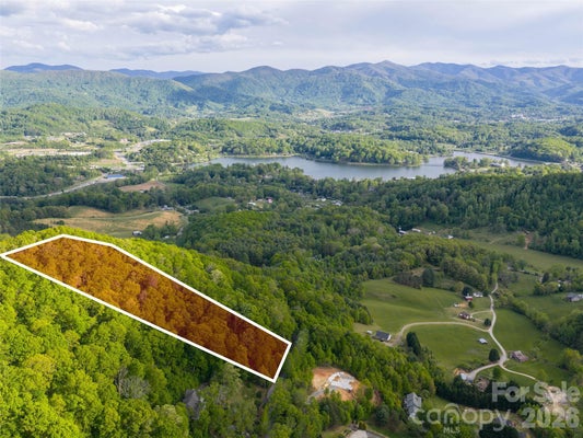 13 BRECKENRIDGE RD, WAYNESVILLE, NC 28785 - Image 0c9cee884b7bcda83cb5ef1f2841666b/102860403