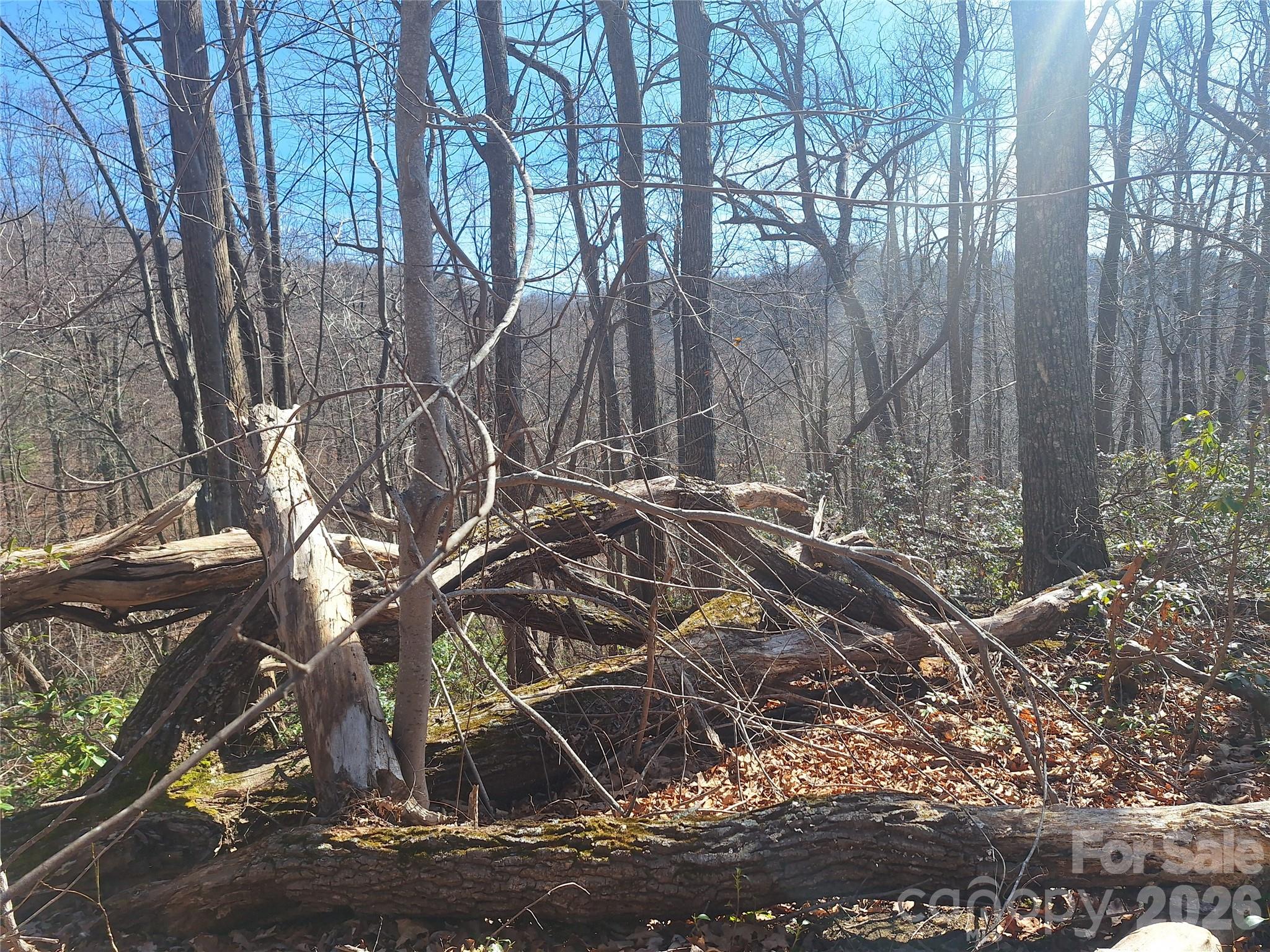 Gateway Mountain - Land