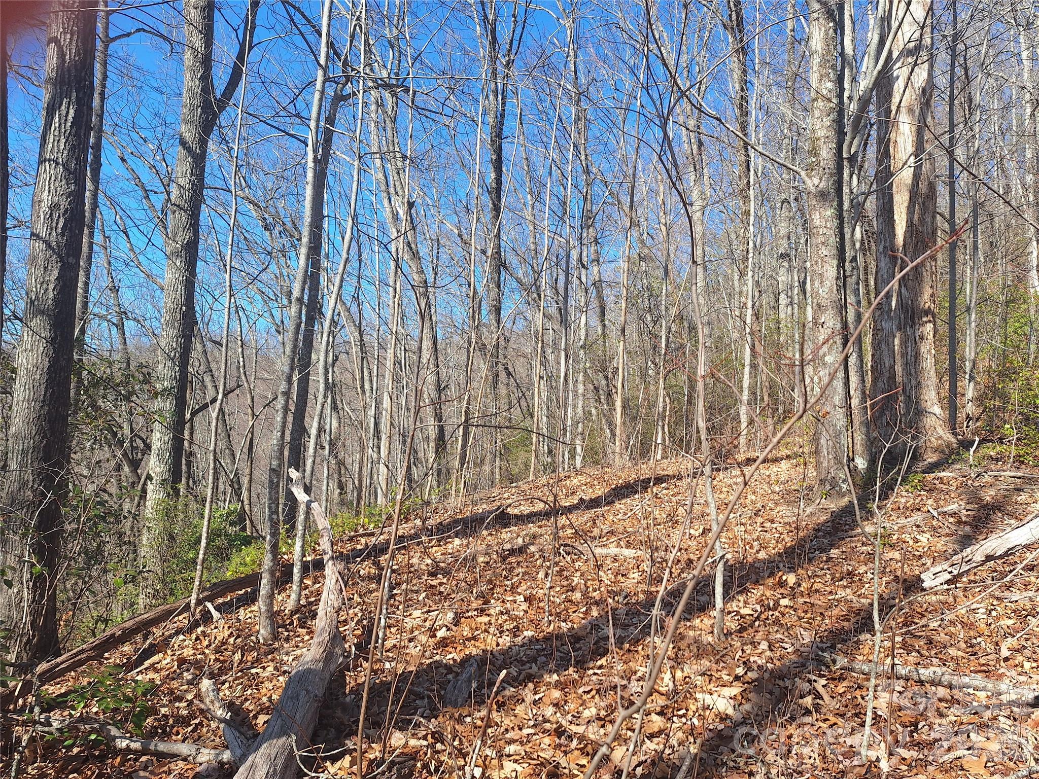 Gateway Mountain - Land