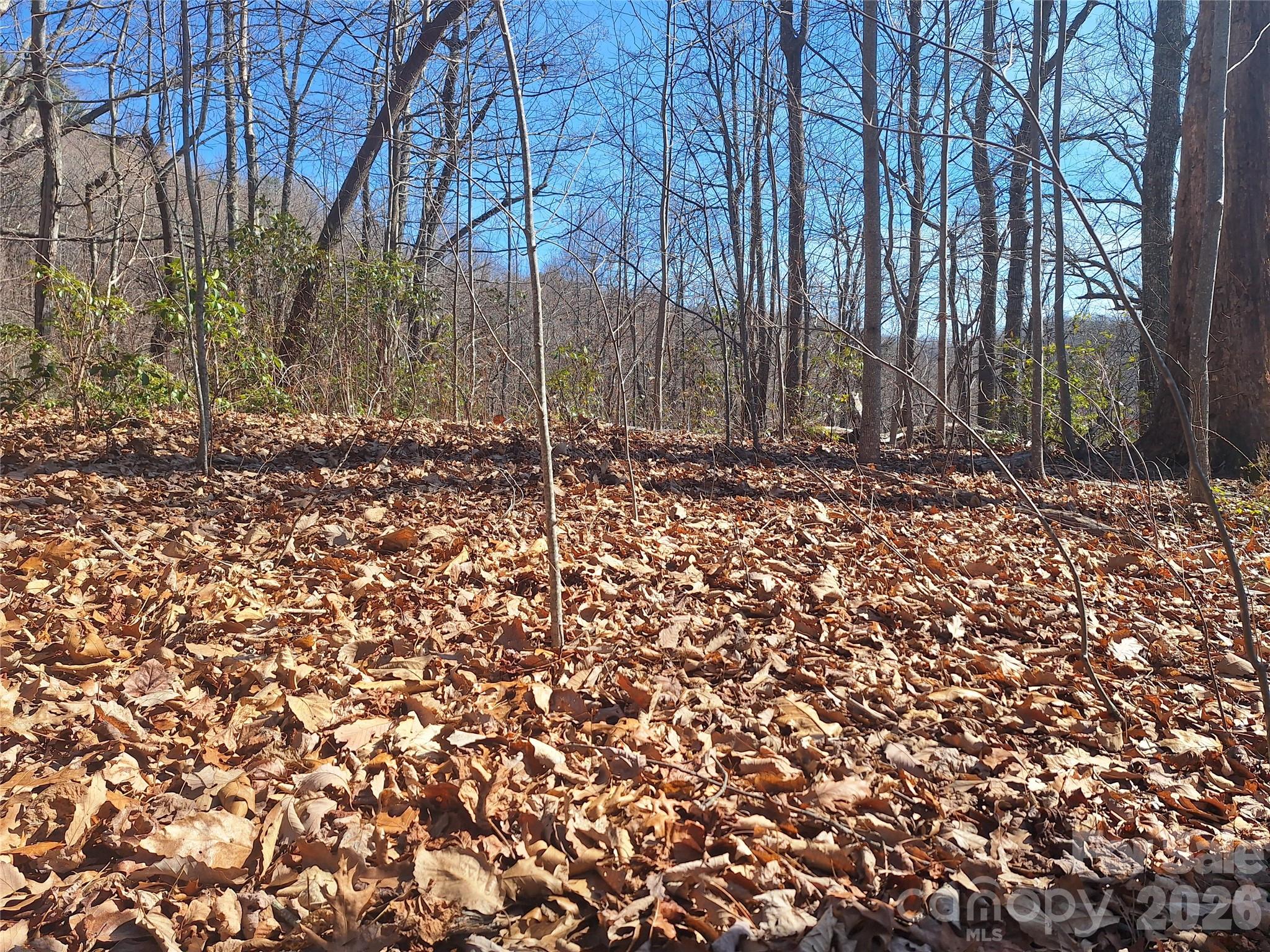 Gateway Mountain - Land