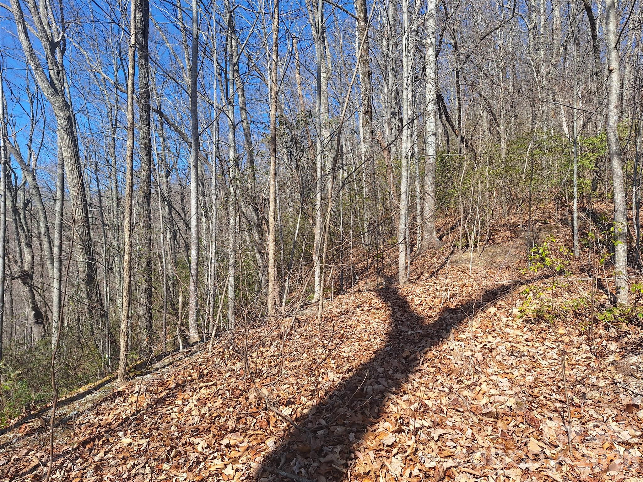 Gateway Mountain - Land