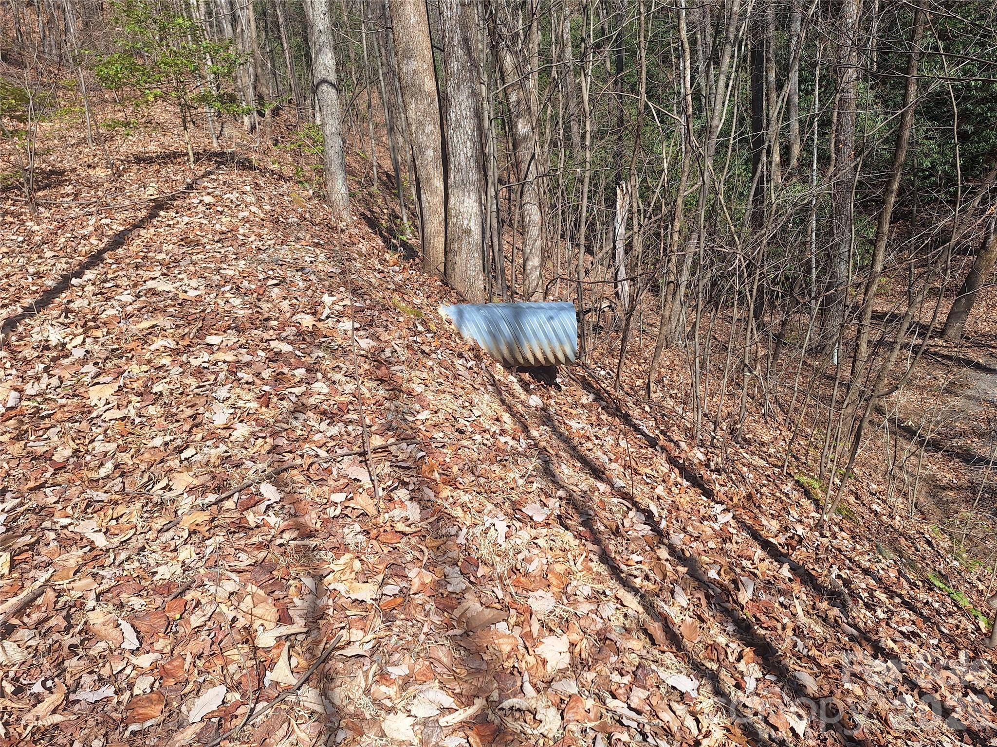 Gateway Mountain - Land