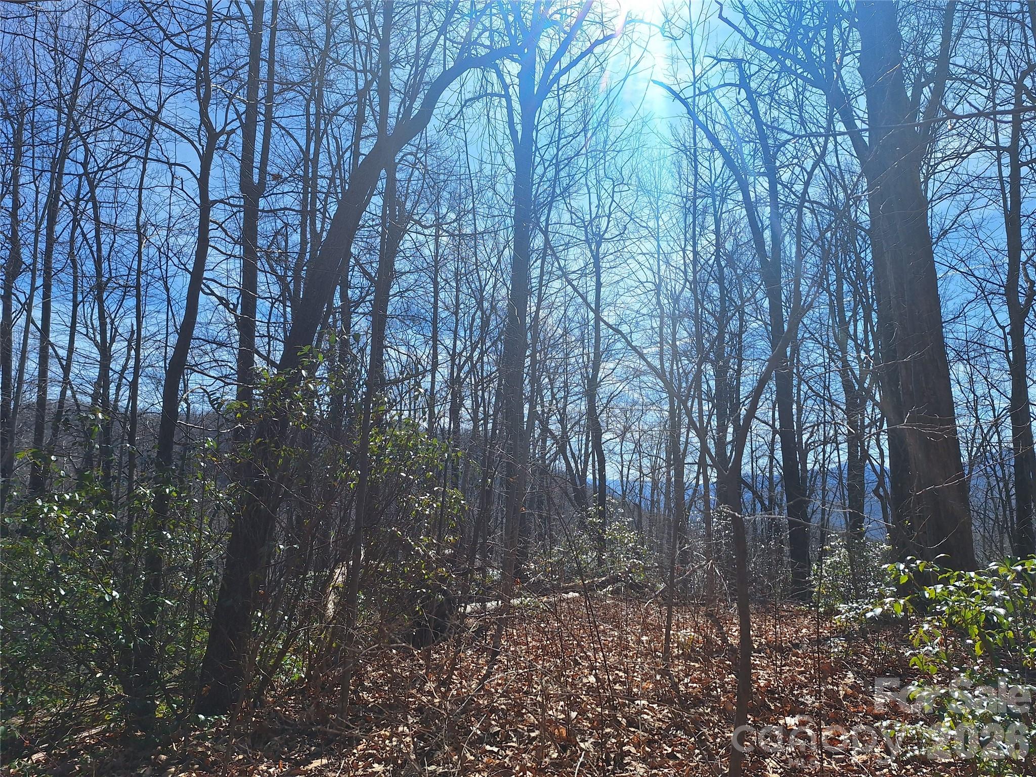 Gateway Mountain - Land