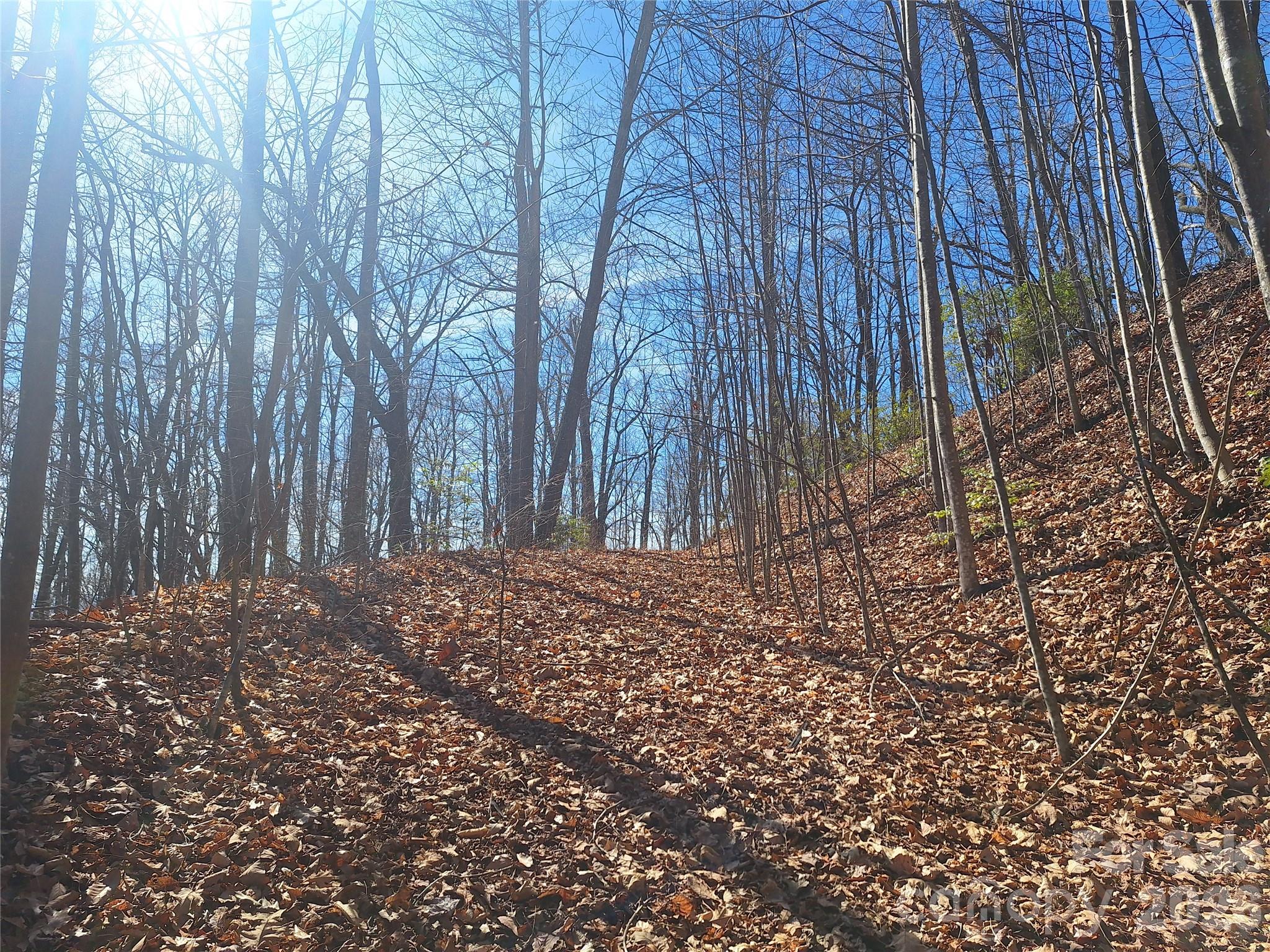 Gateway Mountain - Land