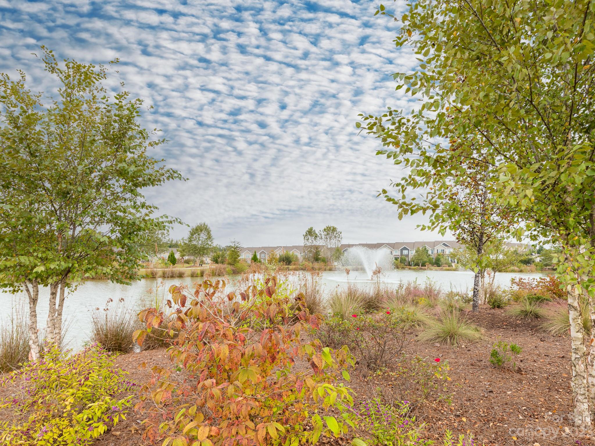 Walnut Creek - Residential