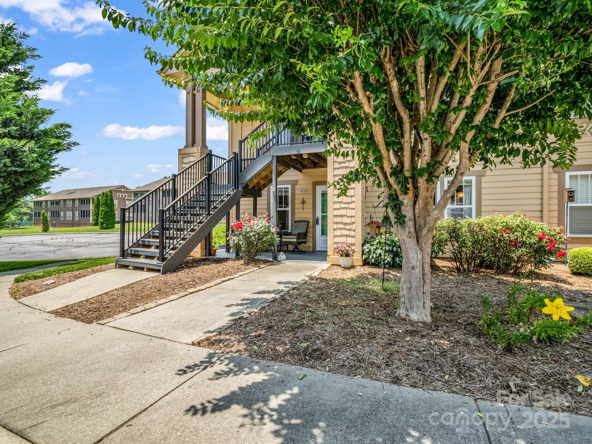 1901 Deermouse Way