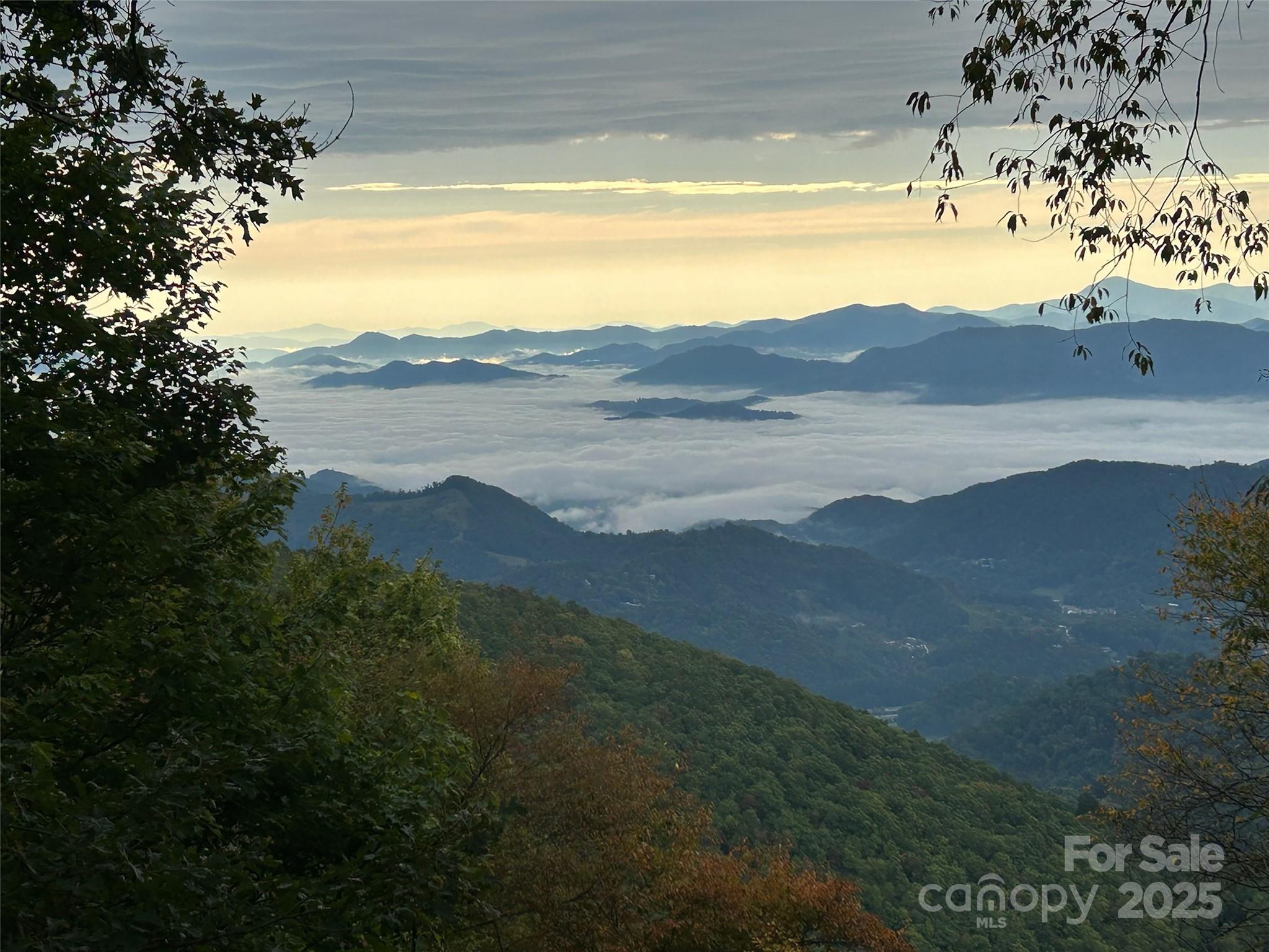 Laurel Heights - Residential