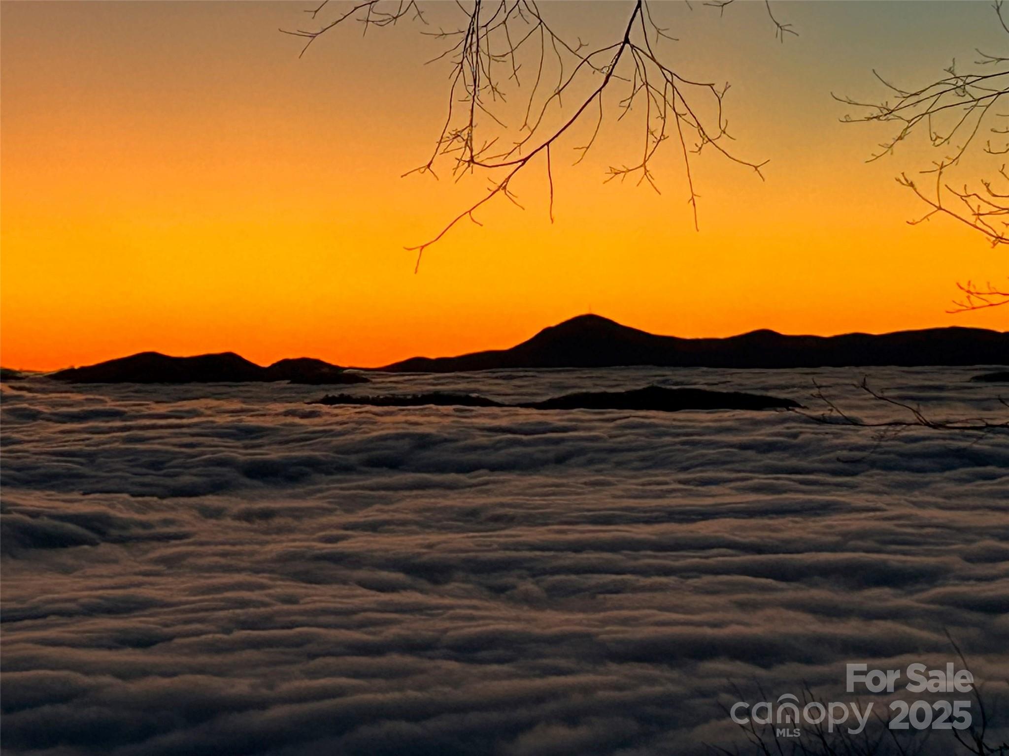 Laurel Heights - Residential