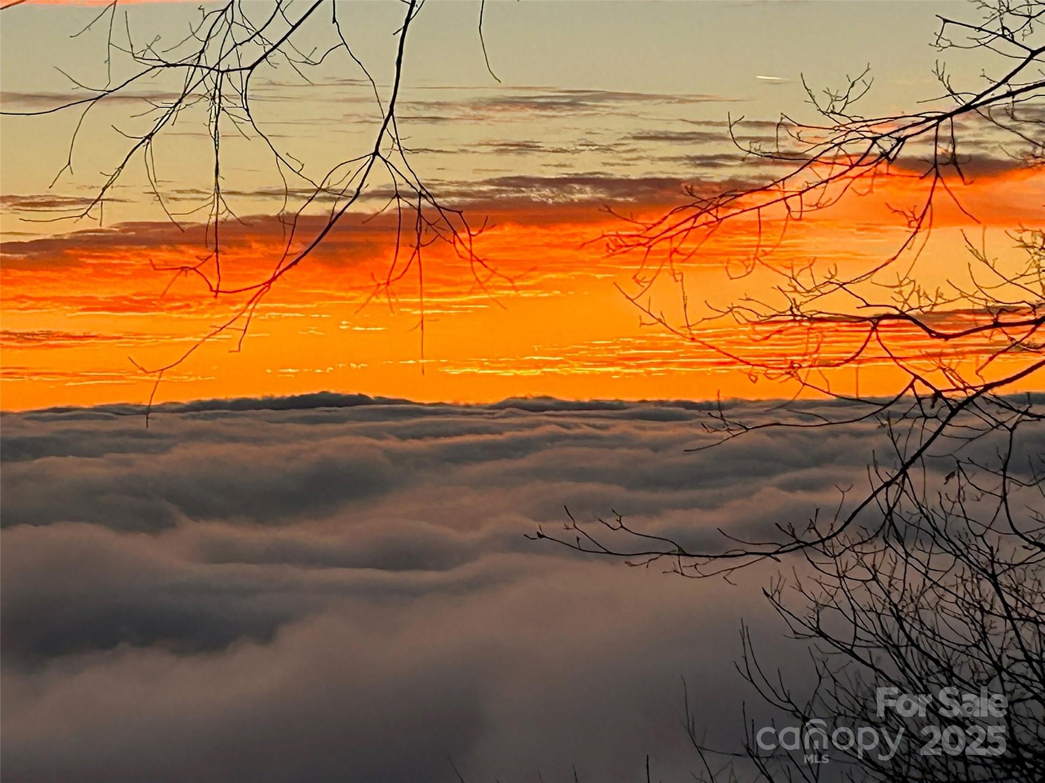 Laurel Heights - Residential