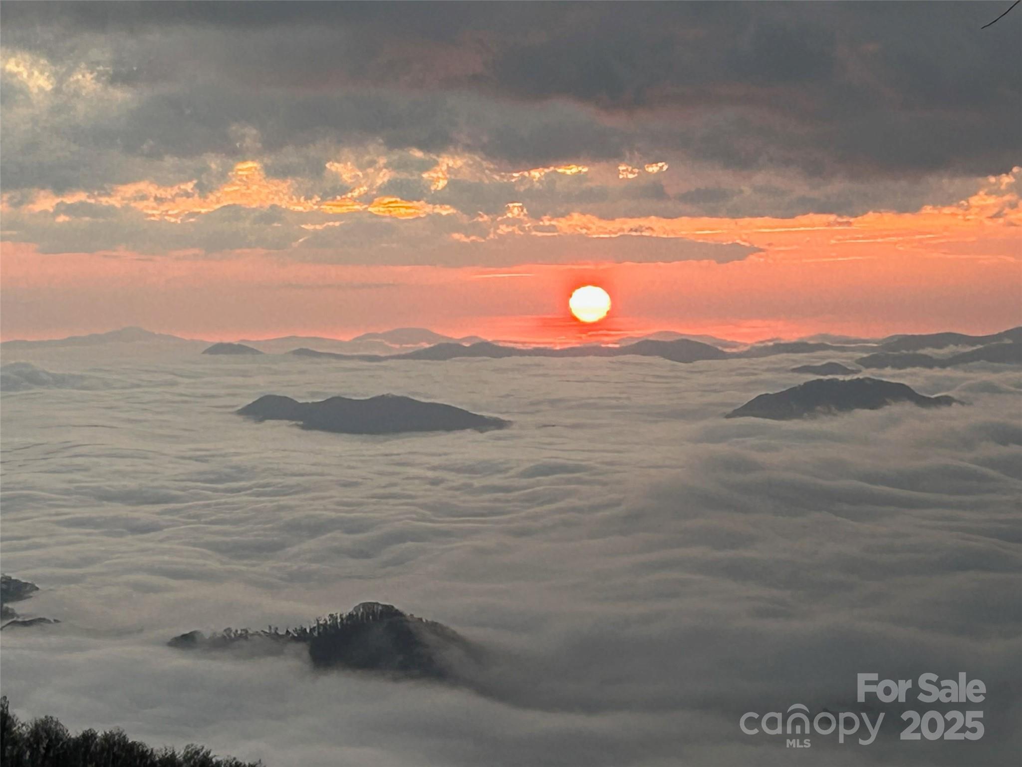 Laurel Heights - Residential