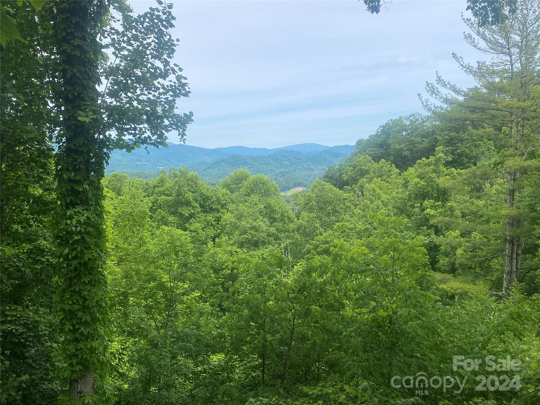 Mountain Air - Residential