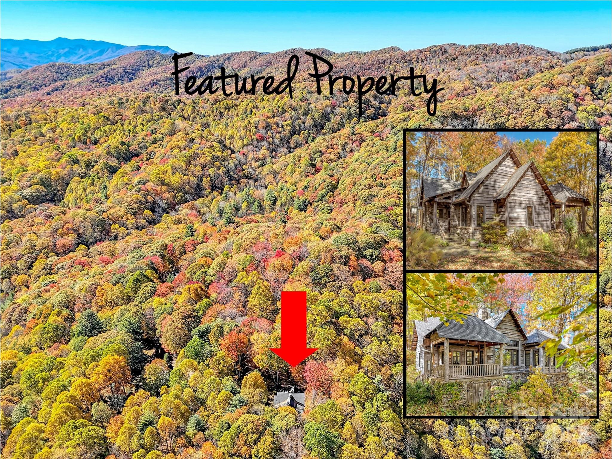 406 Pine Moss Trail