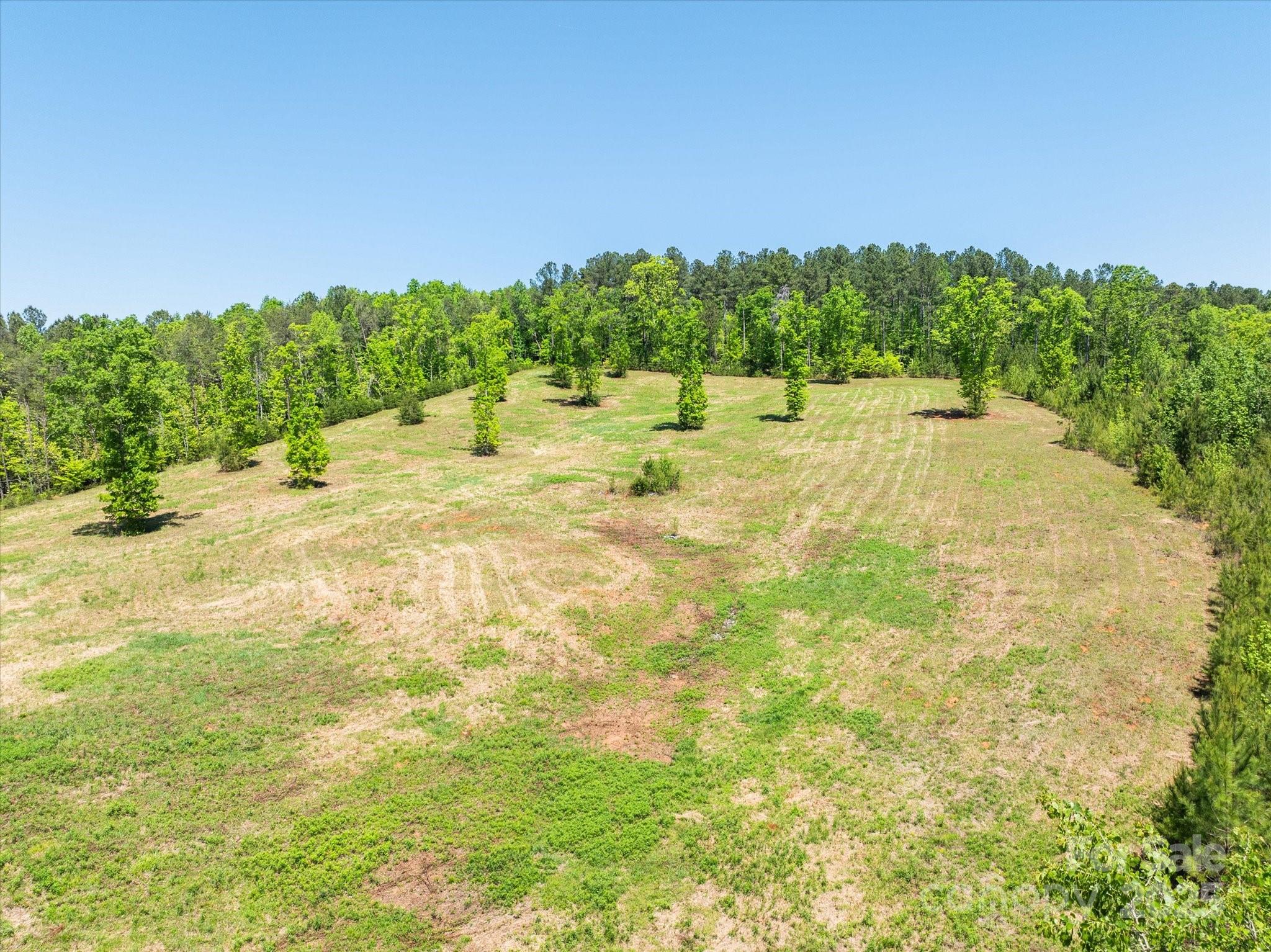 99999 Pea Ridge Road