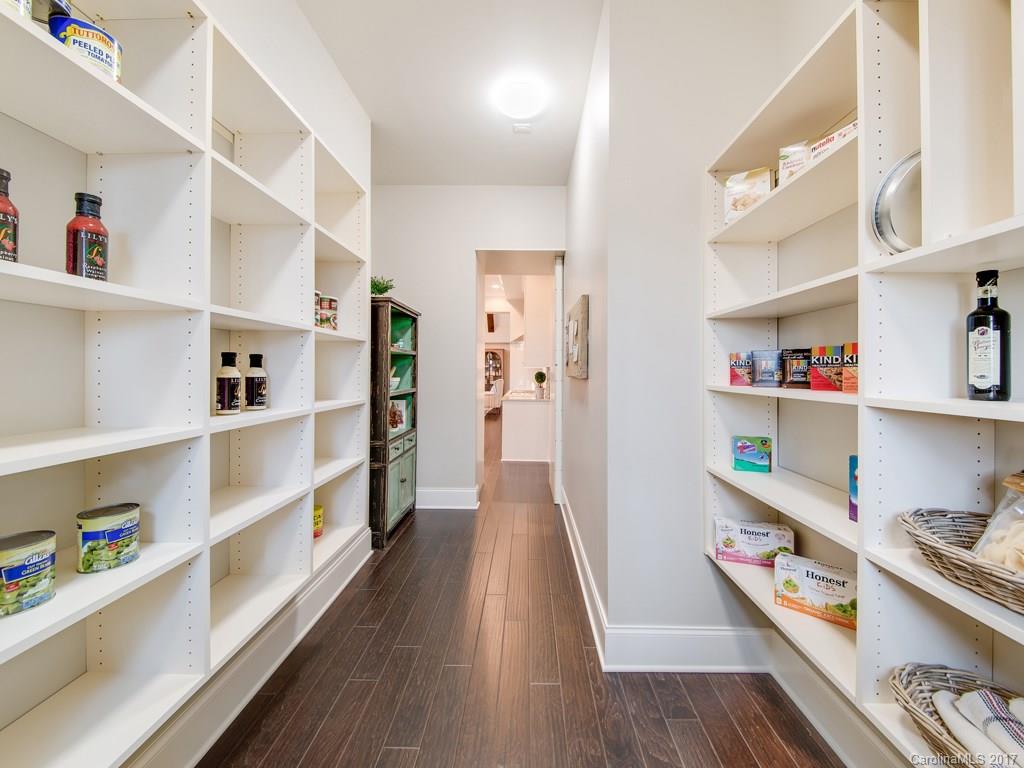 Pinchot Forest - Residential