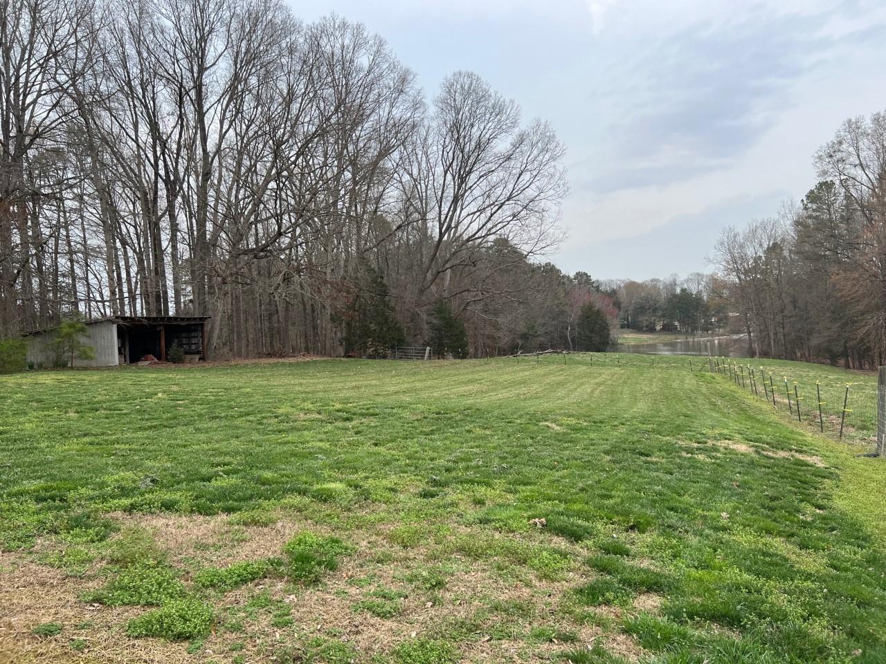 None - Residential Lease