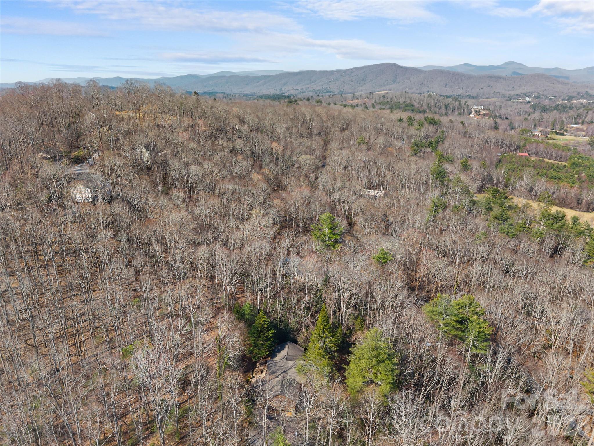 Ravenwood Forest - Residential