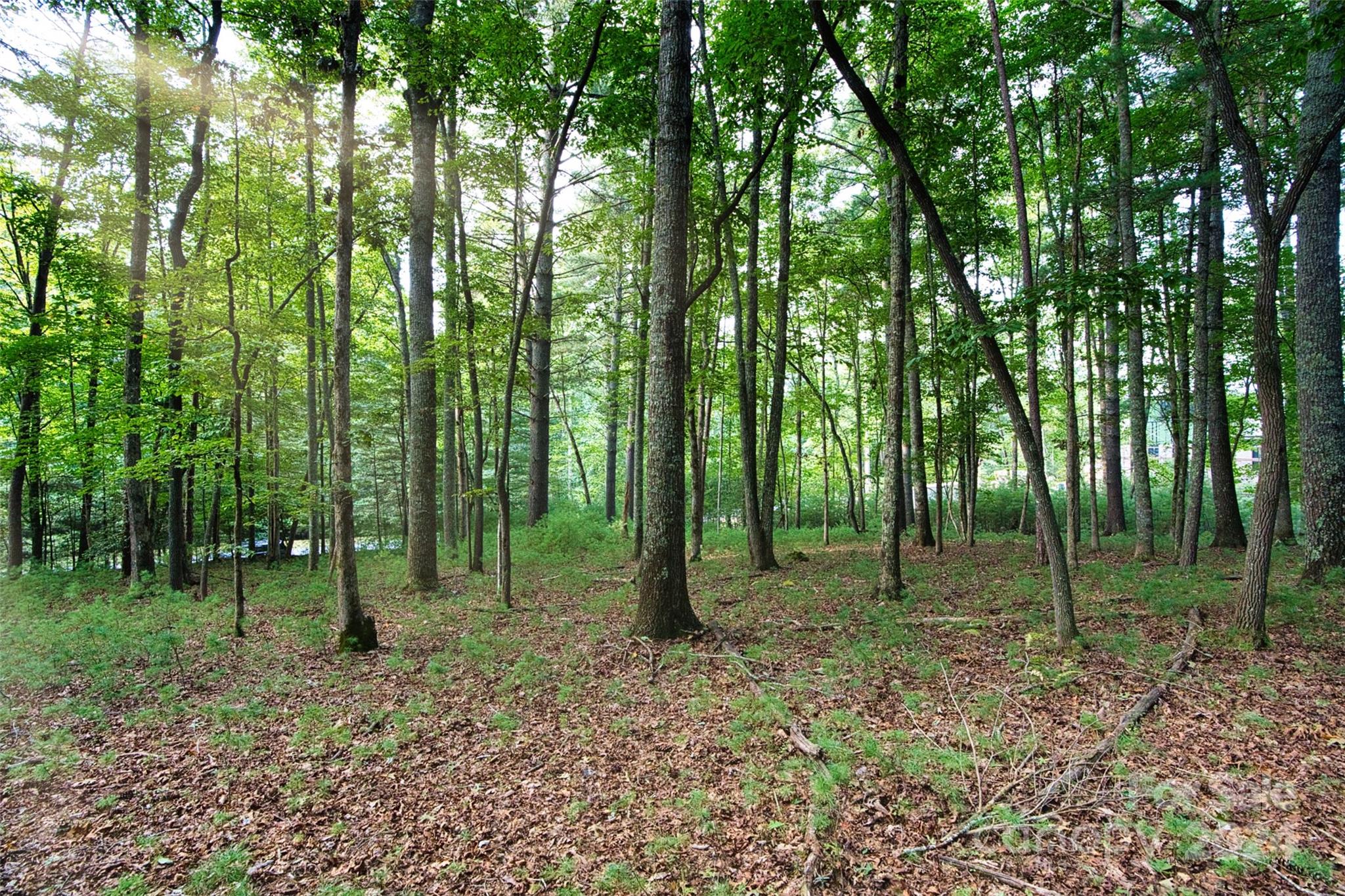 15 Mirehouse Run 135