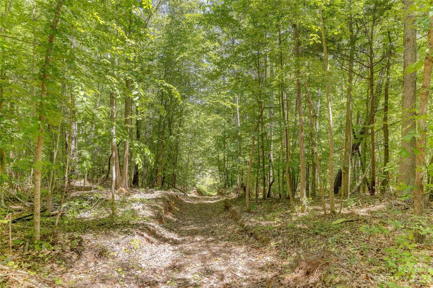 Beautiful property with stream on back quarter of the land. Teeming with wildlife and previously used for hunting (deer/turkey stands on land).  Double wide titled mobile home on land is partially renovated and sold "as is" Detached 2 car garage.