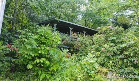33 Horse Cove Road Canton NC 28716