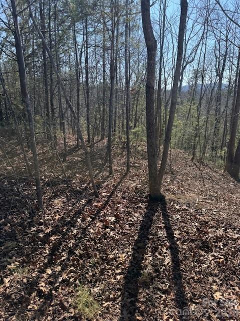 000 Dobson Knob Loop Road