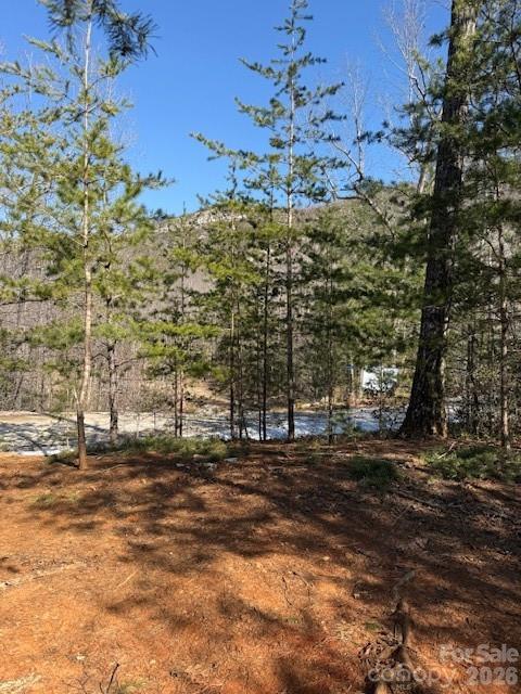 000 Dobson Knob Loop Road