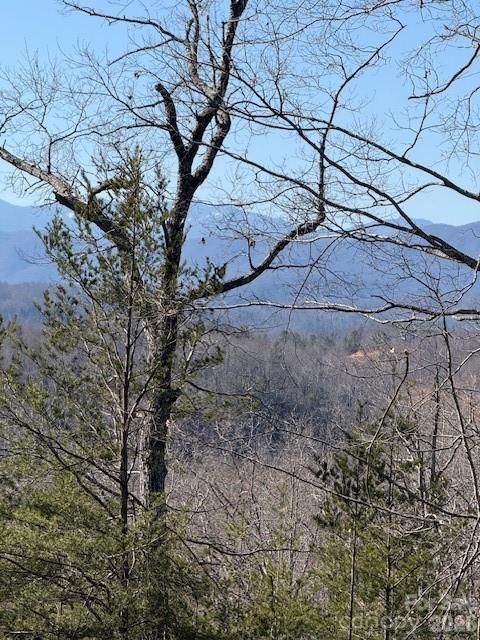 000 Dobson Knob Loop Road Marion NC 28752