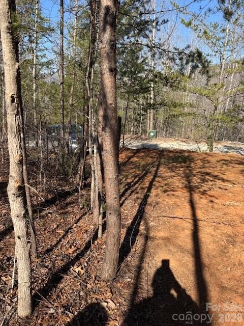 000 Dobson Knob Loop Road