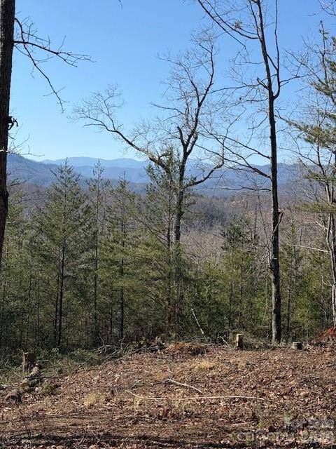 000 Dobson Knob Loop Road