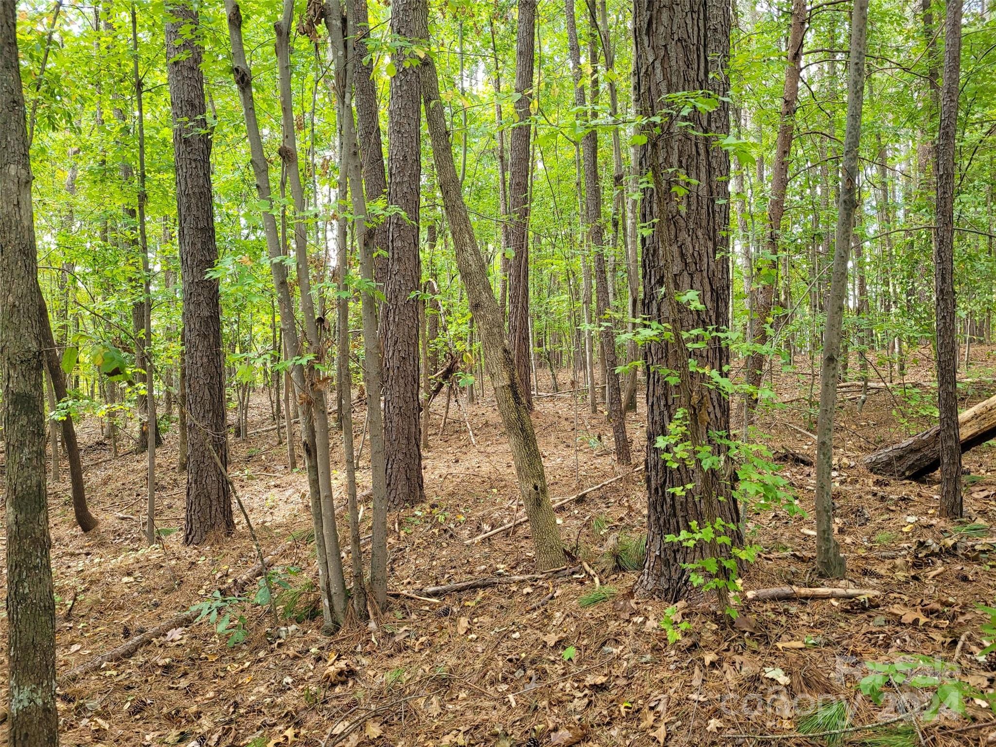 000 Wood Thrush Lane 27