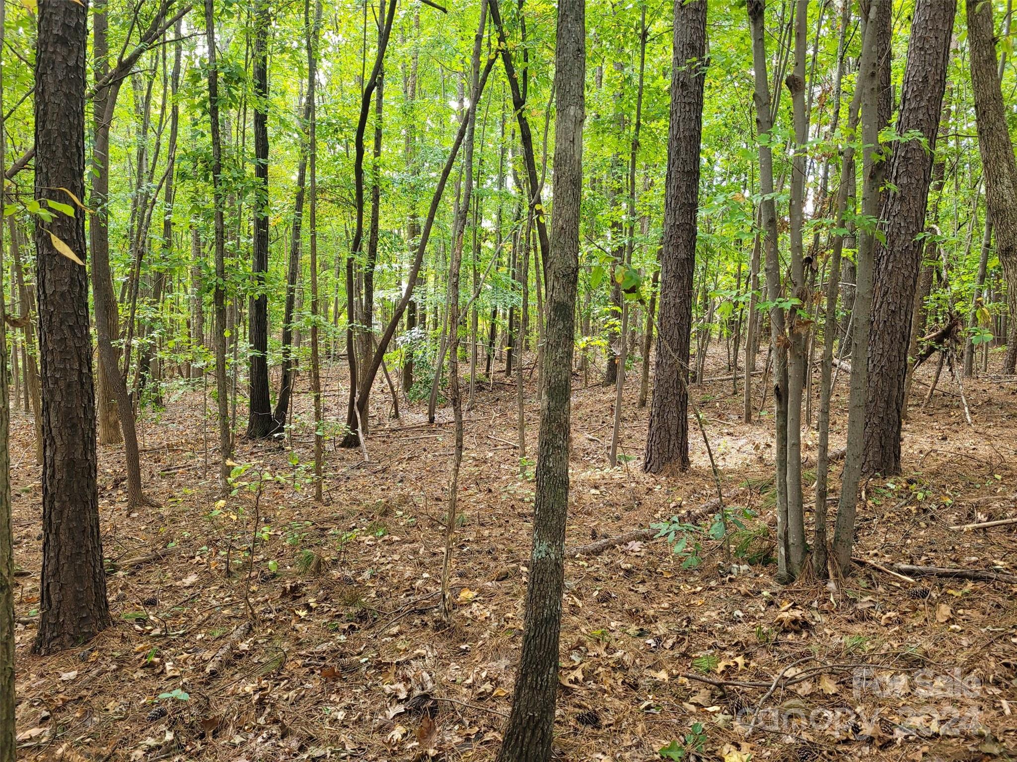 000 Wood Thrush Lane 27