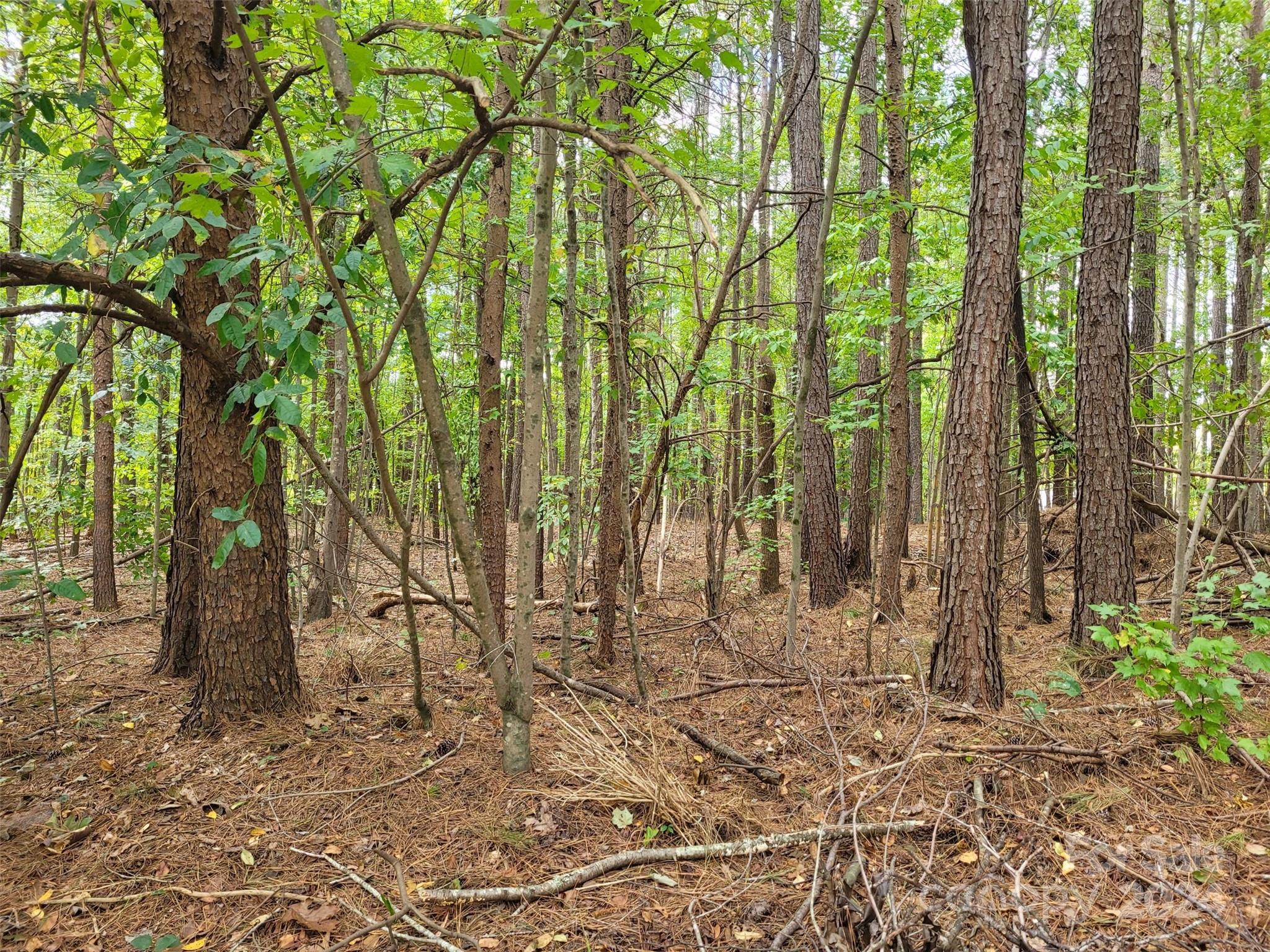 Whippoorwill Woods - Land