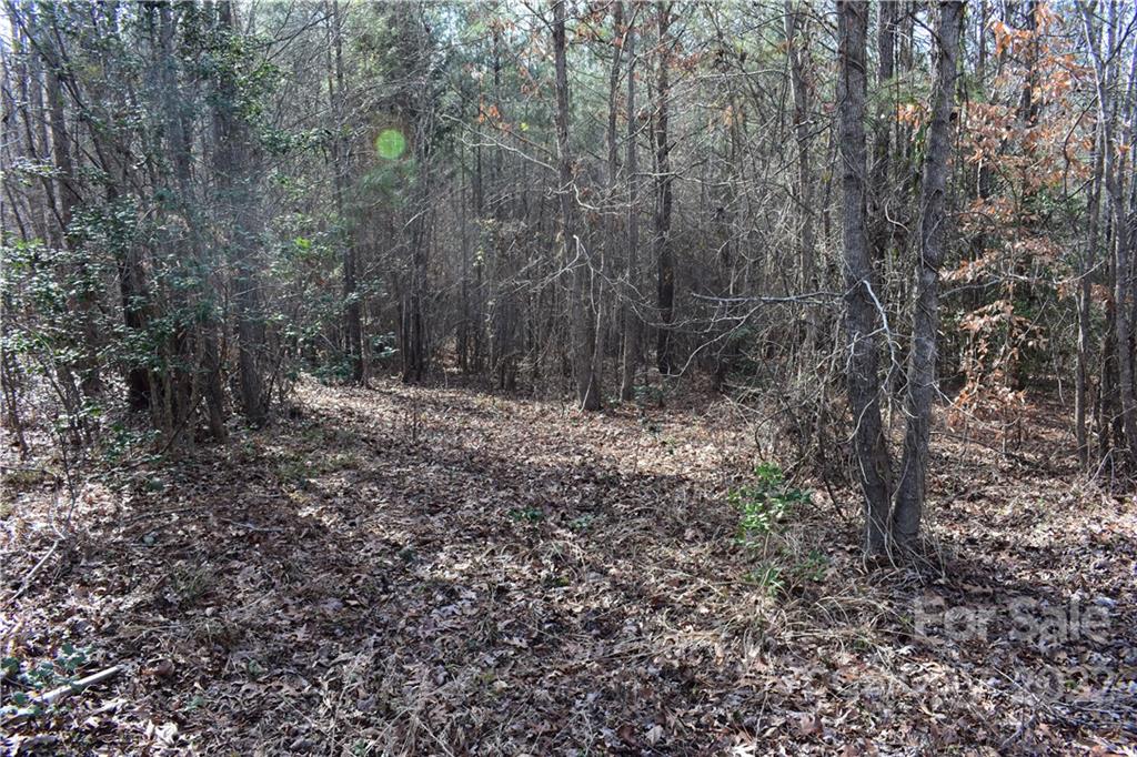 Catawba Shores Estates - Land