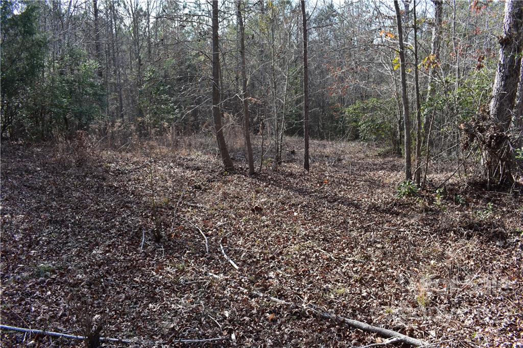 Catawba Shores Estates - Land