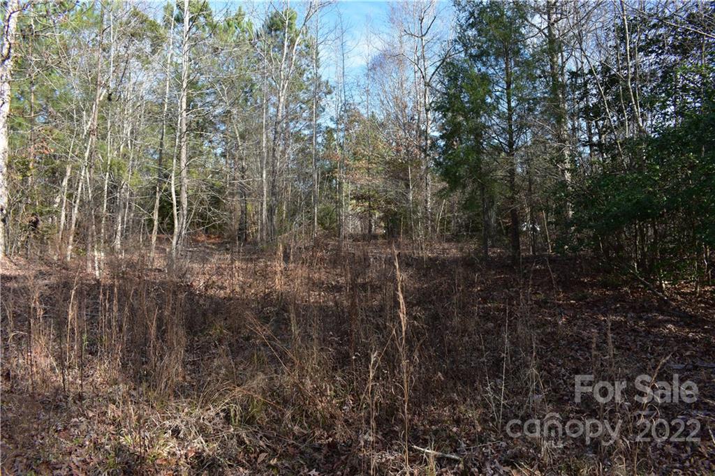 Catawba Shores Estates - Land