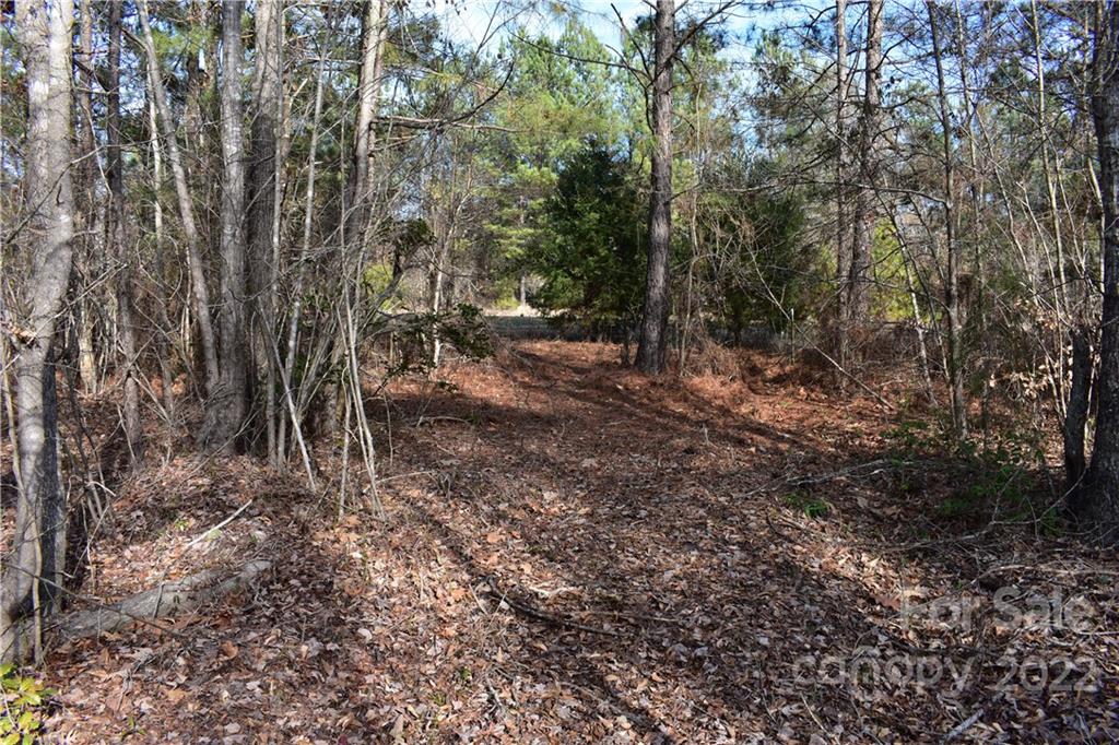 Catawba Shores Estates - Land