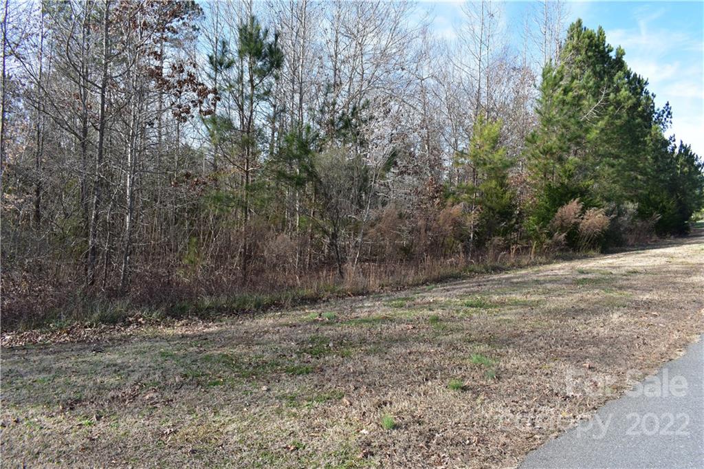 Catawba Shores Estates - Land