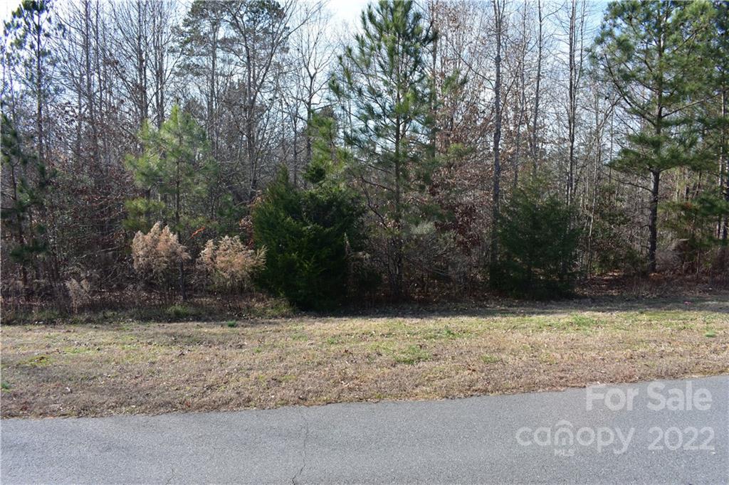 Catawba Shores Estates - Land