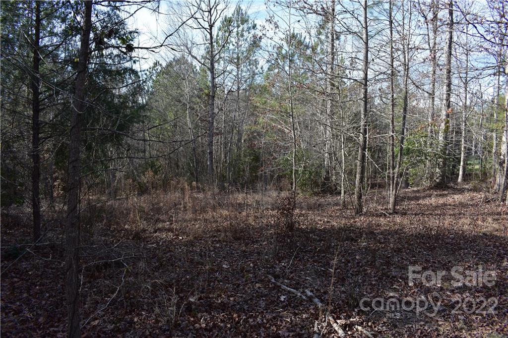 Catawba Shores Estates - Land