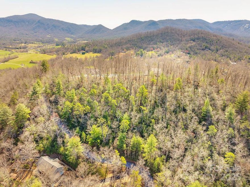 Welcome to Pheasant Ridge Road! This 1.87-acre lot in Pheasant Ridge, located at the end of the road atop the mountain, is a perfect spot for your dream home. The neighborhood features mature trees, landscaping, and low-maintenance Rhododendron. With road frontage at both the top and lower portions, the gentle topography at the summit offers easy walking, while the lower area has a steeper slope with dense Rhododendron for minimal tree clearing and potential views. Several prime building sites are available along the ridgeline. Schedule your viewing today!