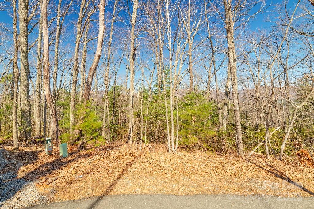 99999 Pheasant Ridge Road 13