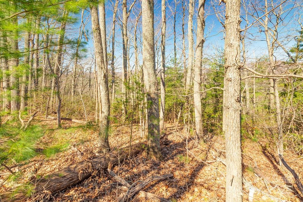 99999 Pheasant Ridge Road 13