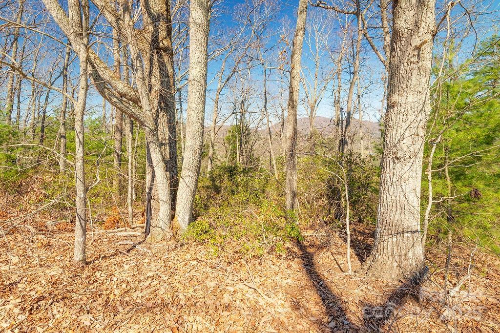 99999 Pheasant Ridge Road 13