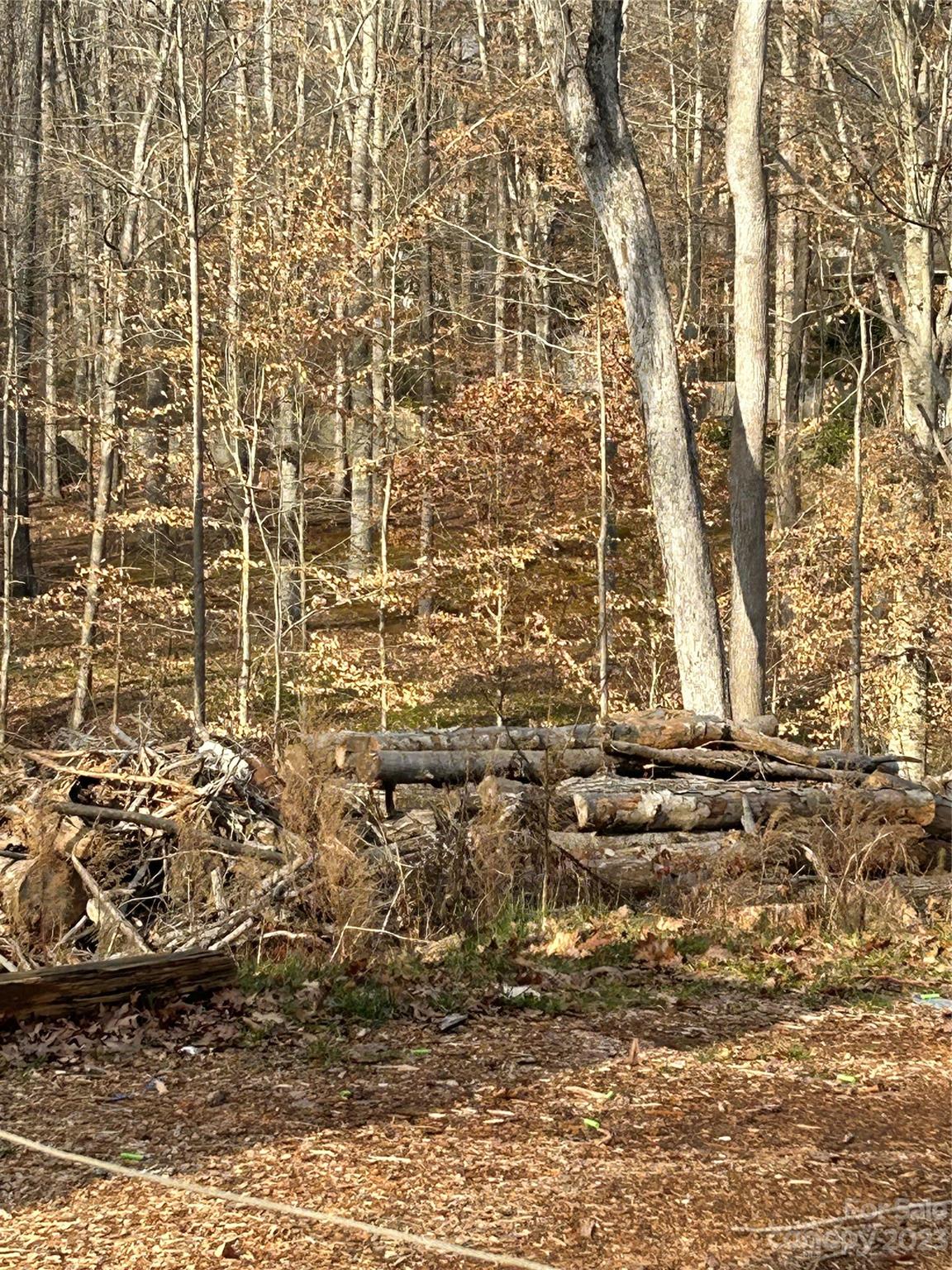 Cedarbrook Acres - Land