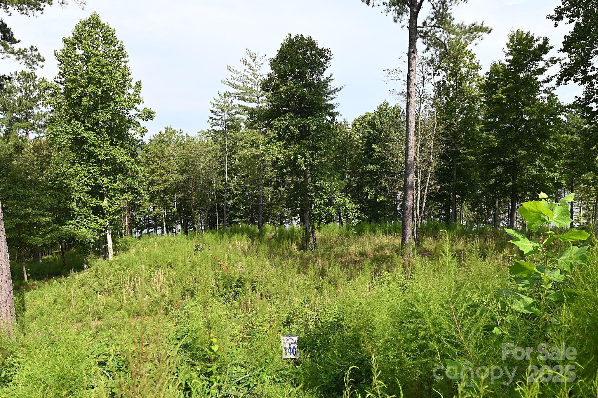 Lakeside Reserve - Residential