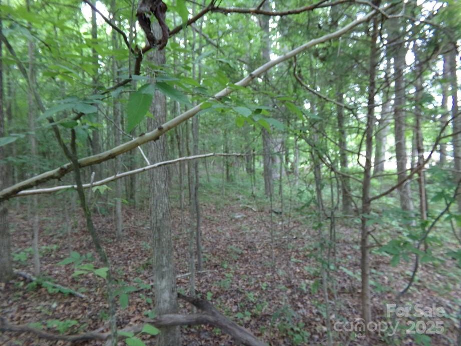 1.5 Ac Pinckney Road